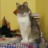 Отзыв от Альфия Моргунова